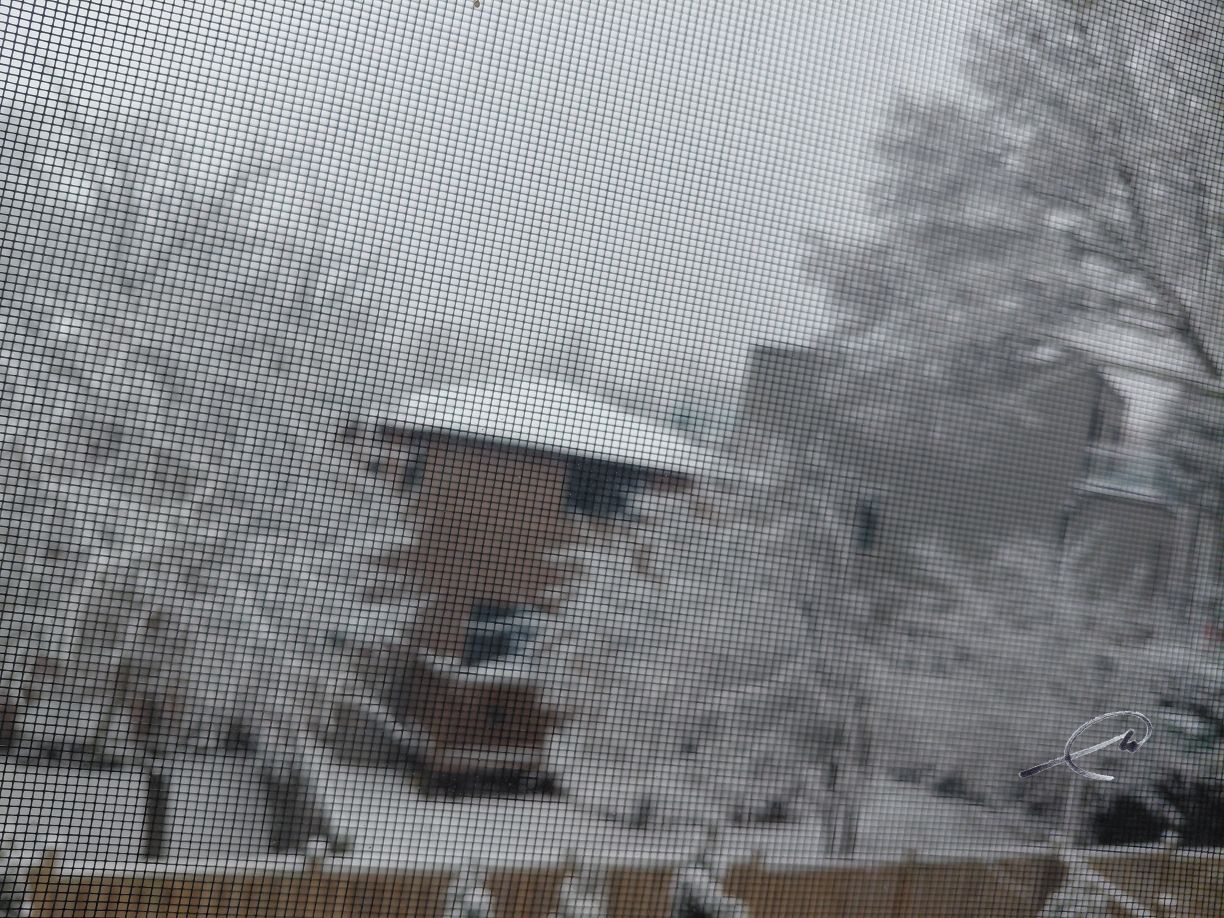 Fresh Snow on Rooftops